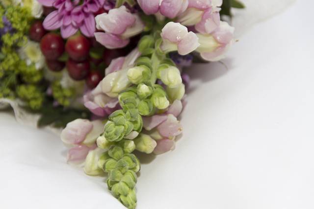 ¡Que flores! Flower shop 4