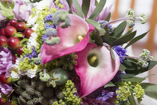 ¡Que flores! Flower shop 5