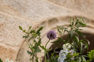 Mimosas Garden - 6