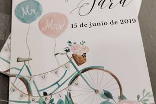 Singular Bodas - 6