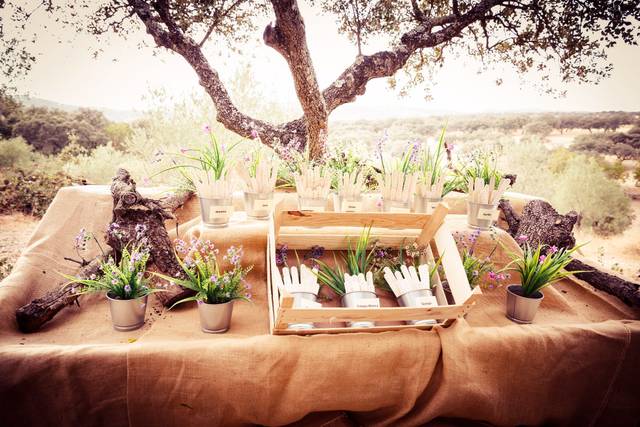 Pando Catering 1