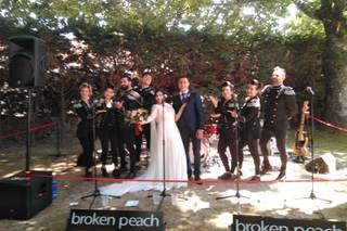 Broken Peach - 9