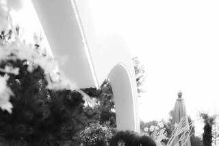 Bels Photo - 11