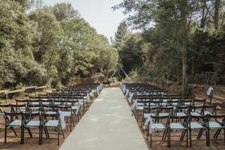 Oliveras Floristes - 15