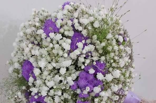 Flors Mas Lluhi 5