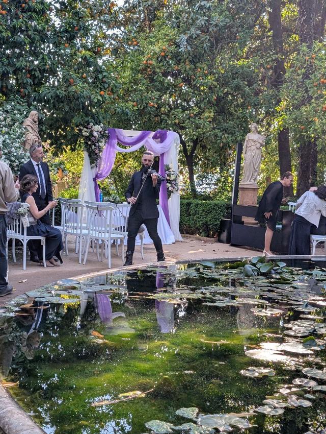 Francesco Valhalla - Violinist - 1