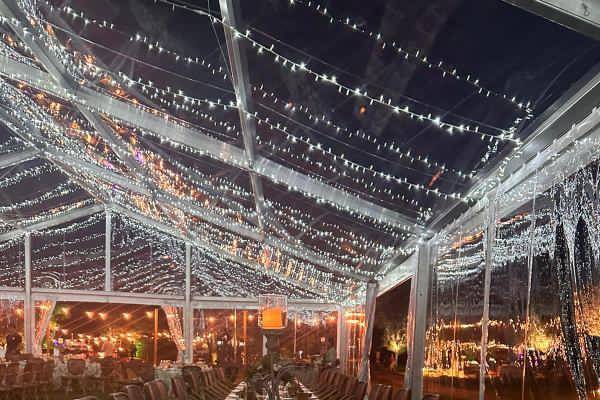 Carpas Élite 3