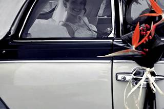 Guillermo - Volkswagen Beetle Cabrio - 5