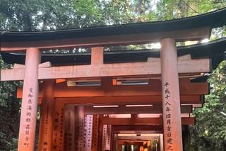 Japonal - 5