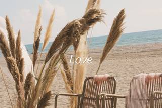 No Rules Wedding planner - 4