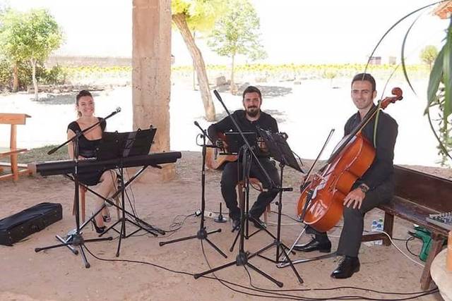 Grupo Luber 3