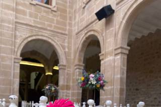 Floristería Carmen - 6
