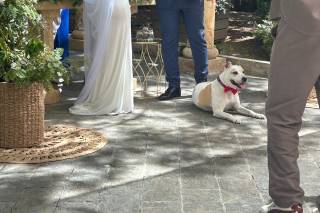 La Boutique de la Flor - 6