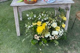 Dandelion Eventos - 4