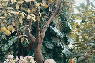 Love factory decor - 6
