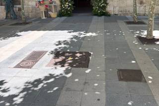 Dandelion Eventos - 5