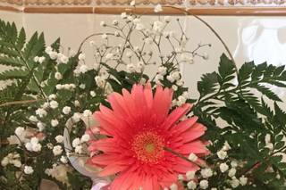 Floristería y regalos Ariabad - 15