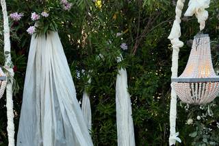 Dandelion Eventos - 6