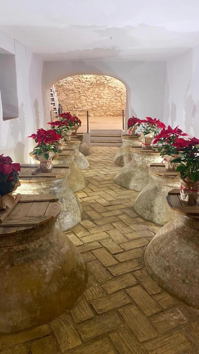 Hacienda Molino Blanco - 2