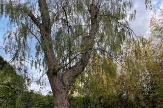 QGAT Restaurant&Events - 7