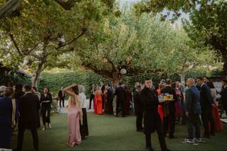 Alessandro Piolanti Photography - 9