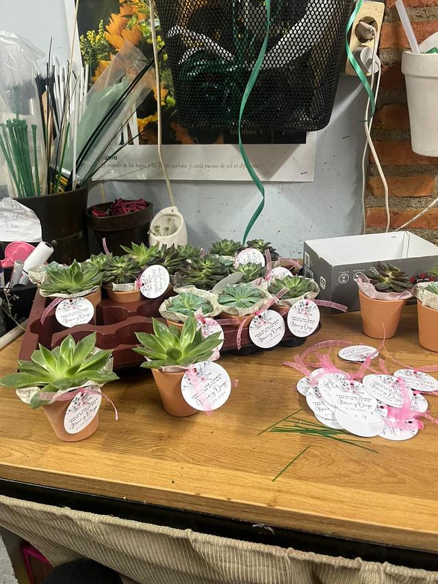 Floristería Ideas - 3