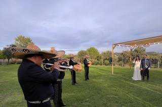 Mariachi charros de Jalisco - 6