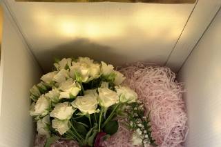 Decorflor - 14