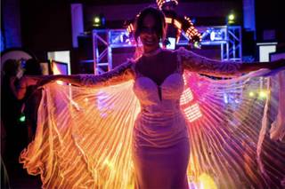 Luminosos Fluorescentes - 5