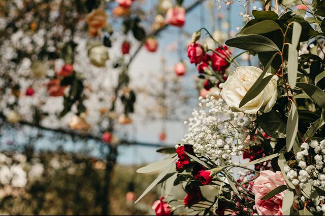 Daniela Henao Weddings - 4