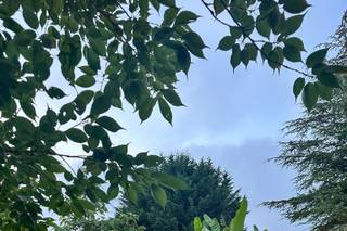 Finca Rovallines - 5