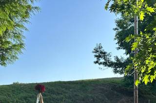 Finca Rovallines - 6