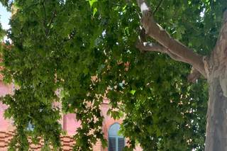 El jardí de Maria - 12