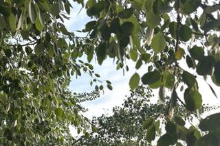 Las Lagunas de las Madres - 7
