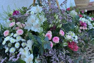 Flores Comos - 5