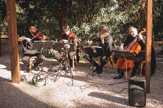 Cuarteto Stringendo - 11