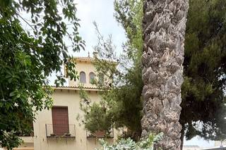 Finca La Torreta - 6