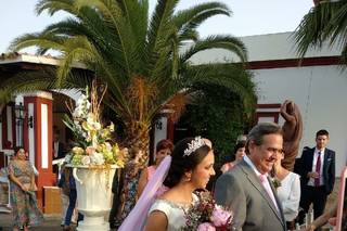 Flores y Espinas - 20