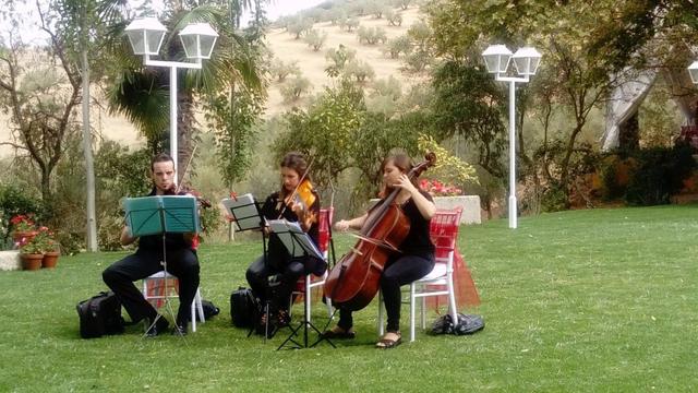 Cema Musical - 3