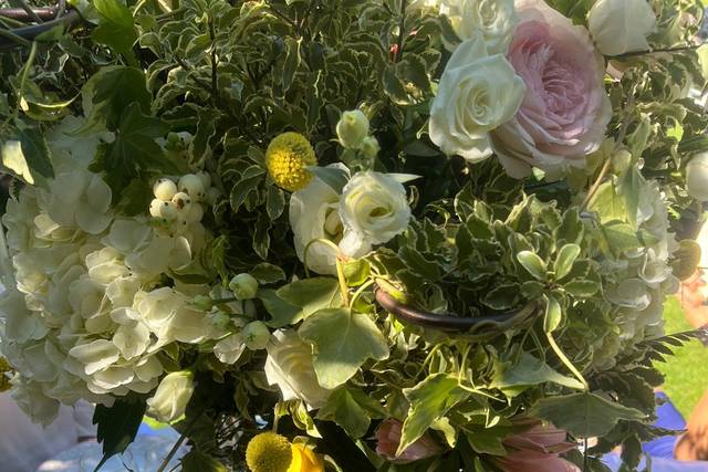 Floristería Las Camelias 4