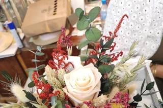 Gloxinia - 11