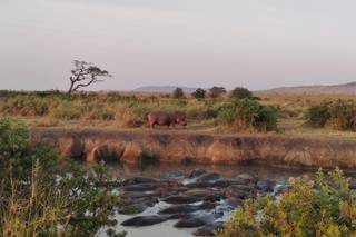 African Safari Travel - 5