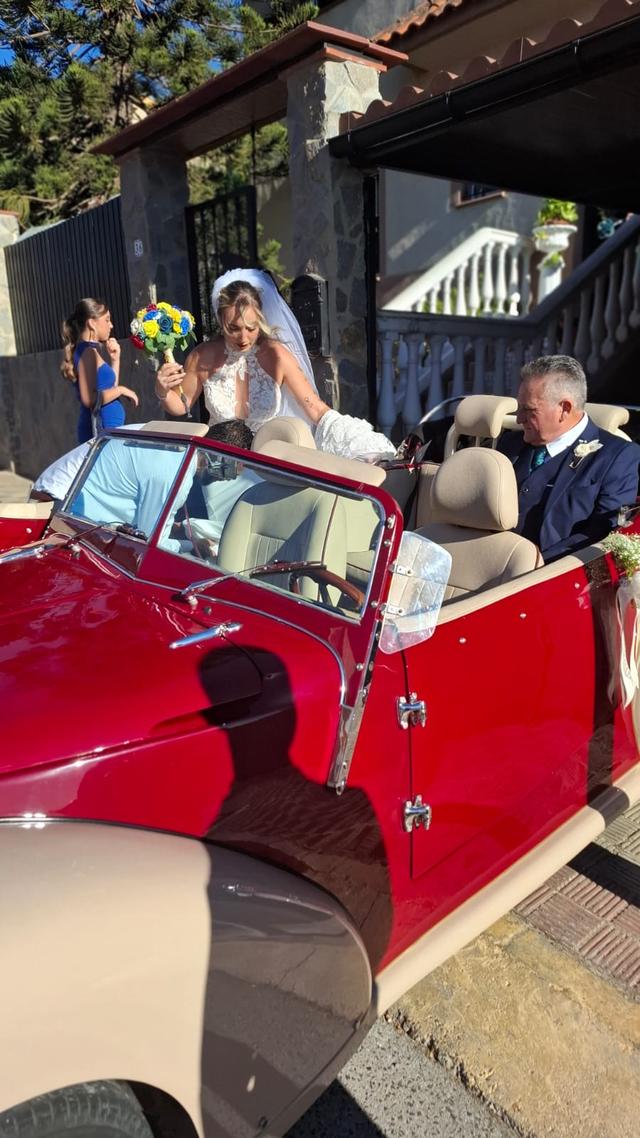 Magistral Royal Cars - 2