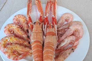 Anfora Catering - 1