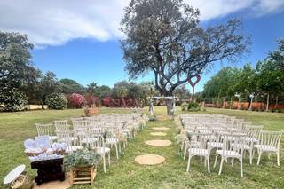 Finca Casaes - 7