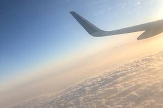 Mi Travel - 12