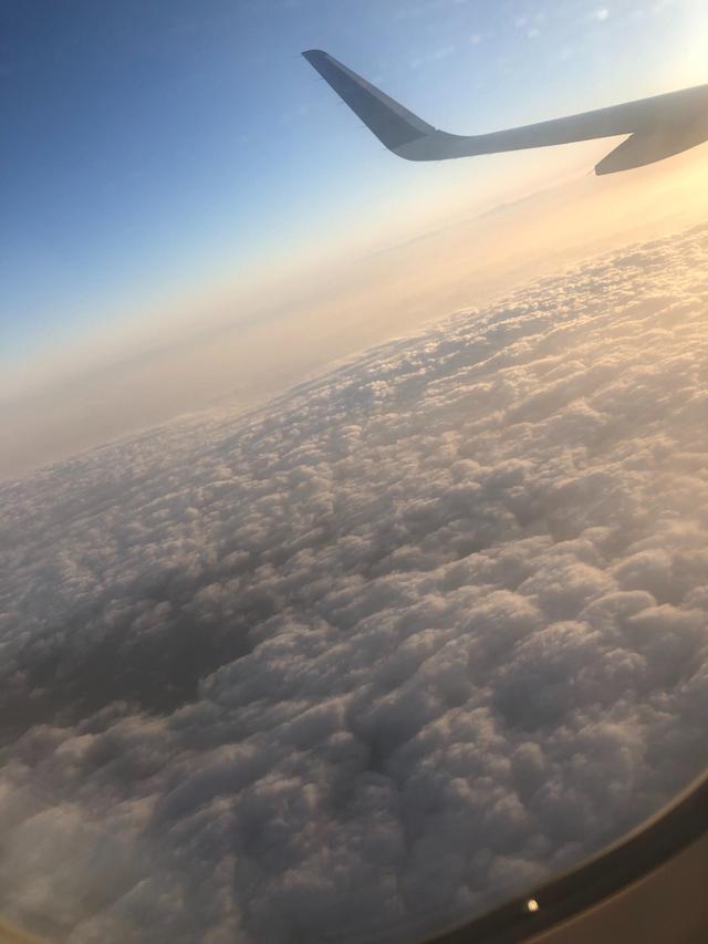 Mi Travel - 2