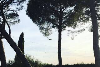 La Alegoría de la Primavera - 11