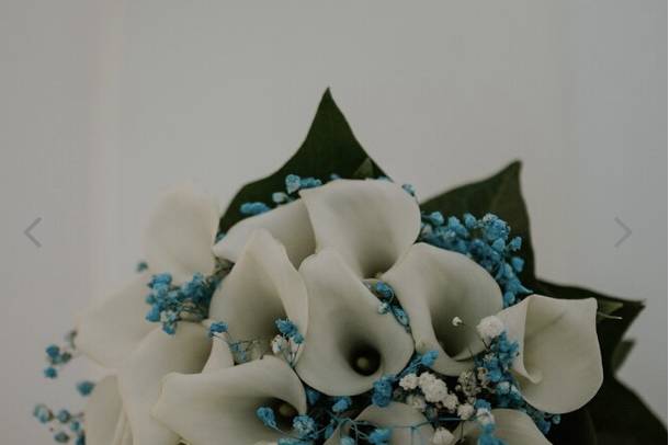 Floristeria Sonya 4