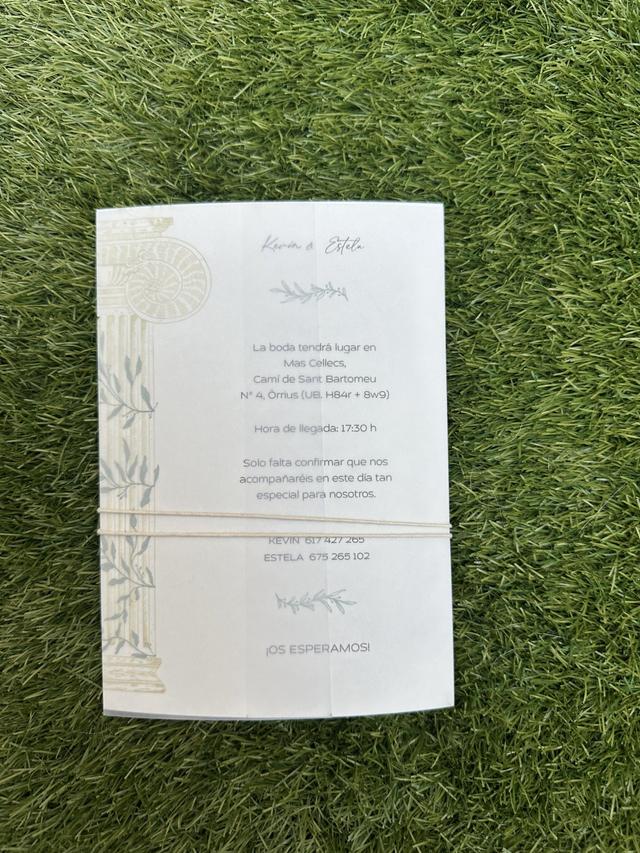 Lotta Rosé Weddings - 2